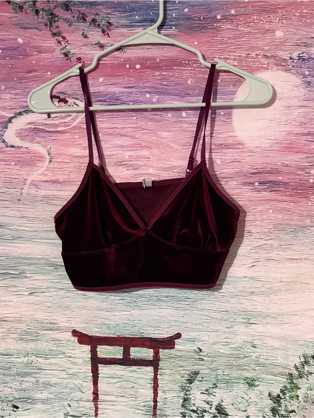Velvet Bralette - Deep Wine